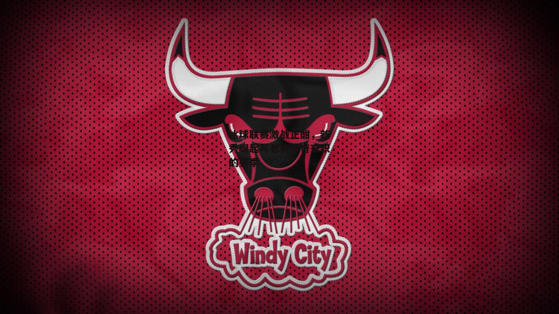 冰球联赛激战正酣,新秀崛起与老将传奇交织的赛季