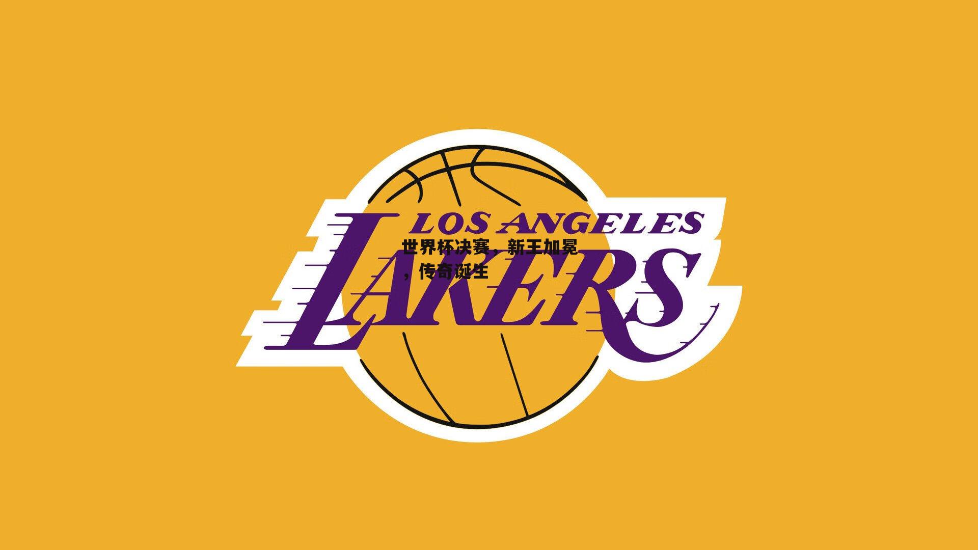 世界杯决赛,新王加冕,传奇诞生